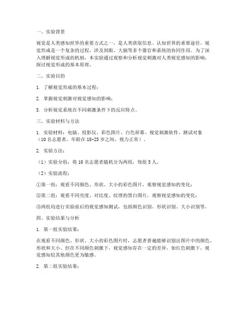 视觉形成的实验报告