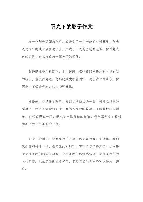 阳光下的影子作文