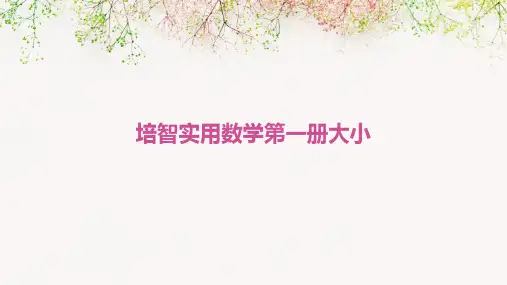 培智实用数学第一册大小