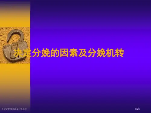 决定分娩的因素及分娩机转