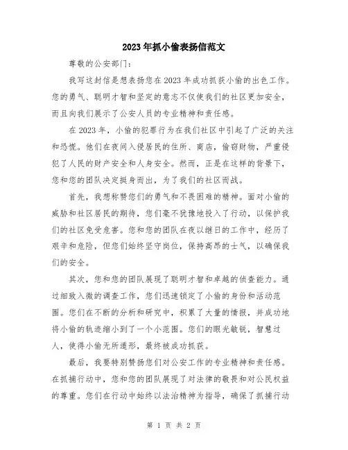 2023年抓小偷表扬信范文