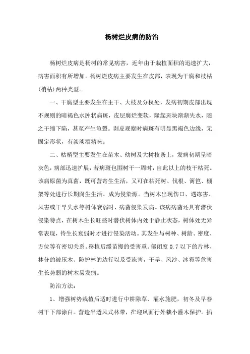 杨树烂皮病的防治