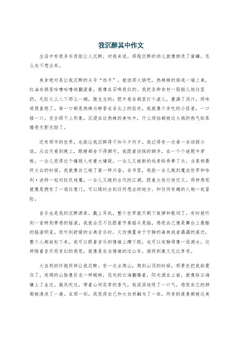 我沉醉其中作文