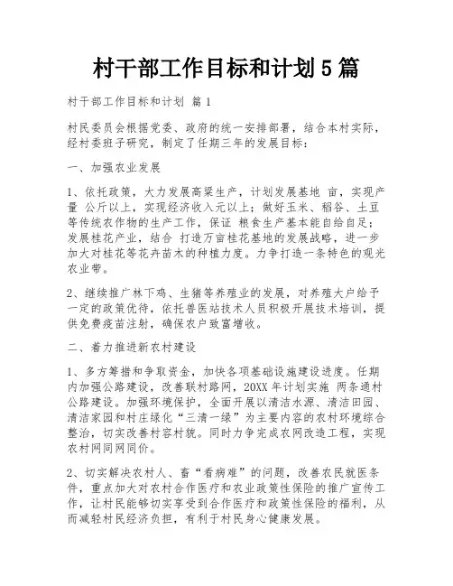 村干部工作目标和计划5篇
