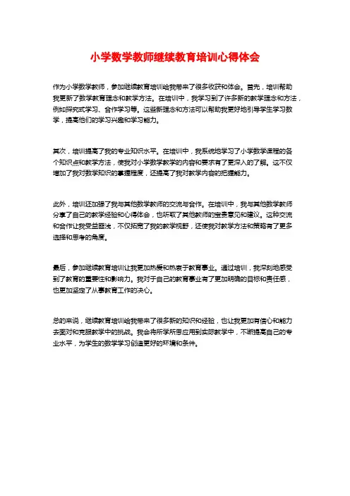 小学数学教师继续教育培训心得体会