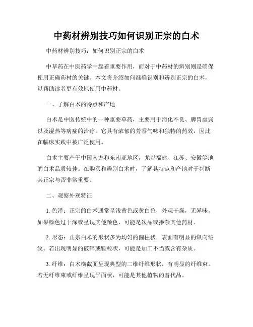 中药材辨别技巧如何识别正宗的白术