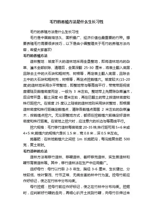 毛竹的养殖方法是什么生长习性