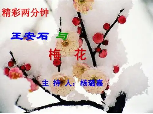 学生精彩两分钟(正式稿)