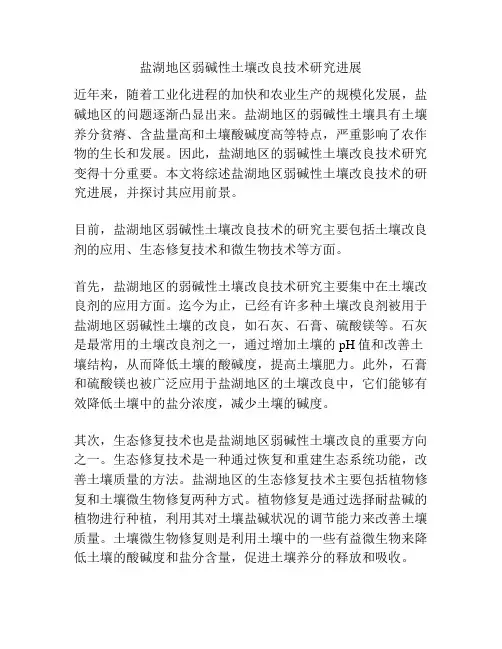 盐湖地区弱碱性土壤改良技术研究进展