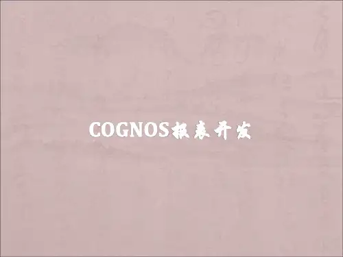 Cognos报表开发