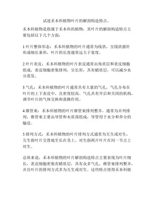 试述禾本科植物叶片的解剖构造特点。