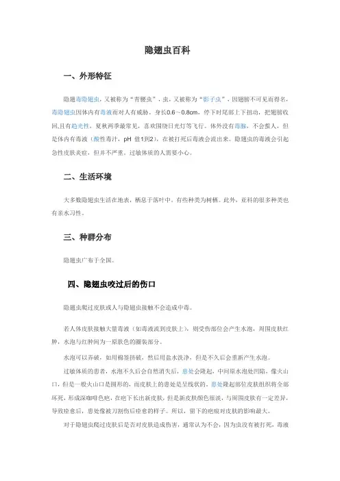 隐翅虫百科