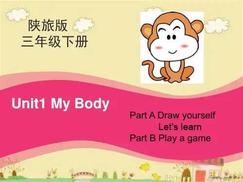 《My Body》PPT课件精品 课件 