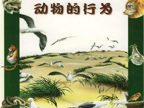 最新苏科版八年级生物上册 生物：第16章第2节  动物的行为 课件