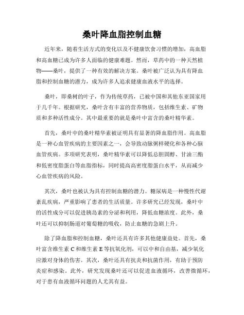 桑叶降血脂控制血糖