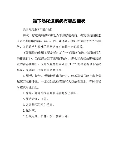 猫下泌尿道疾病有哪些症状