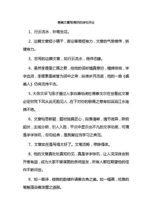 赞美文章写得好的诗句评论