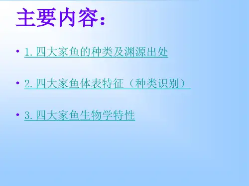 四大家鱼