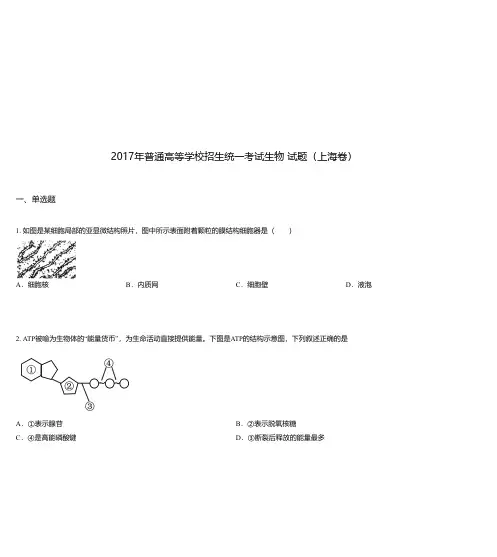 2017年普通高等学校招生统一考试生物 试题(上海卷)