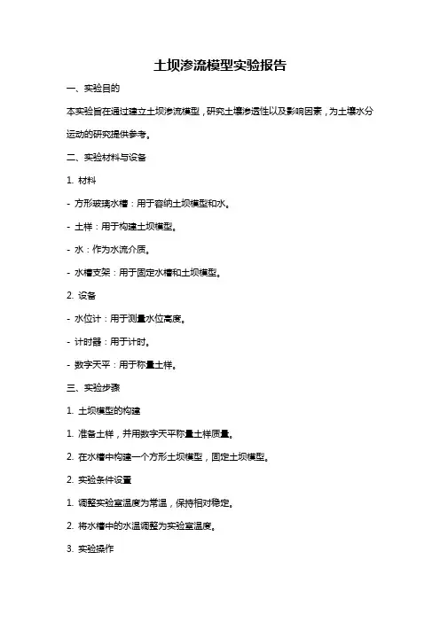 土坝渗流模型实验报告