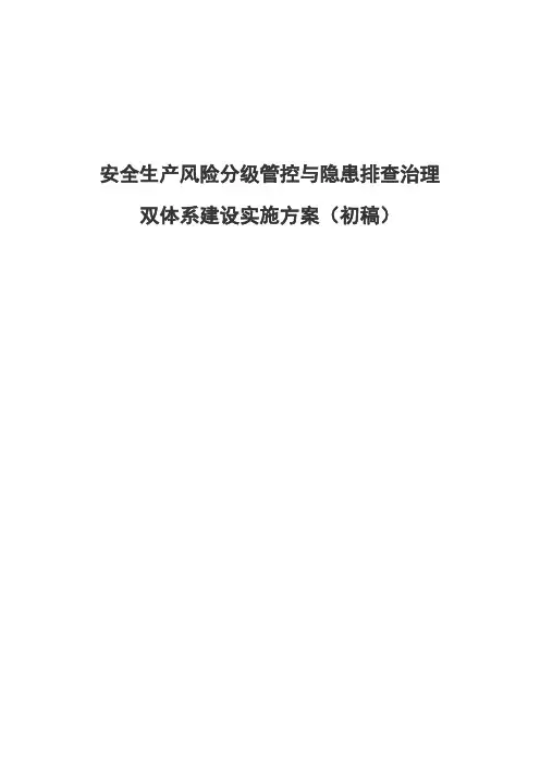 双体系建设实施计划方案