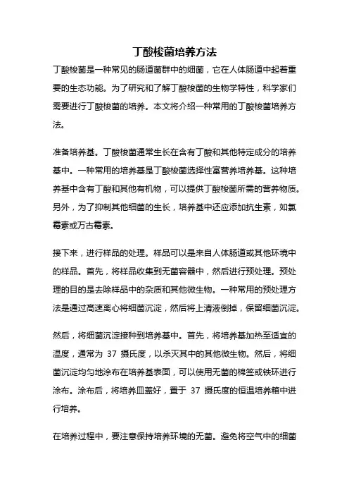 丁酸梭菌培养方法