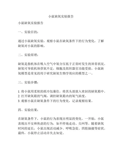 小鼠缺氧实验报告
