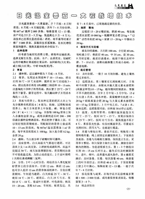 日光温室番茄一大茬栽培技术