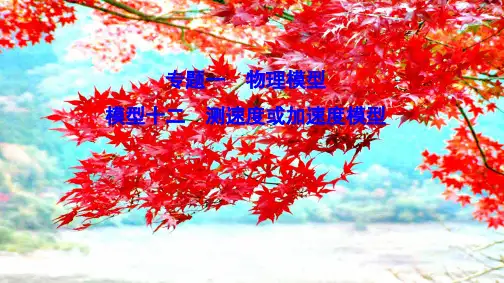 高考物理二轮总复习 第二部分 应试高分策略 专题一 物理模型 2.1.12 测速或加速模型课件
