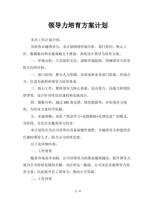 领导力培育方案计划