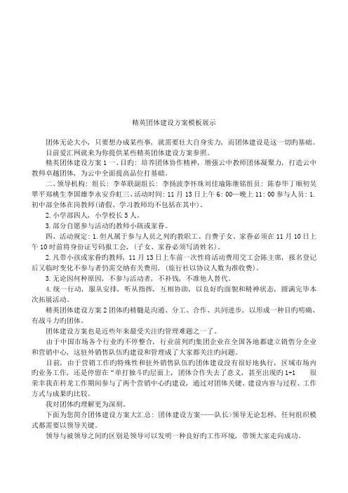 精英团队建设方案模板展示