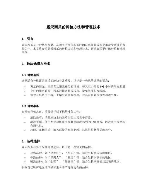 露天西瓜的种植方法和管理技术