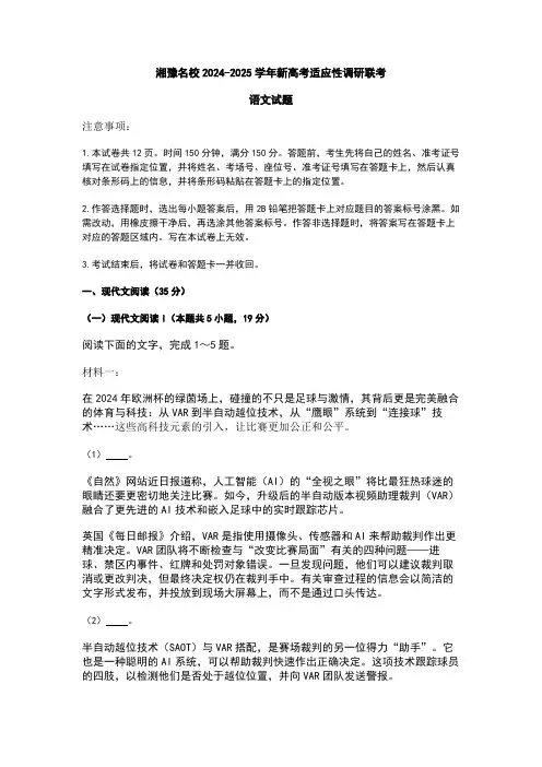 湘豫名校2024-2025学年新高考适应性调研联考  语文试题  
