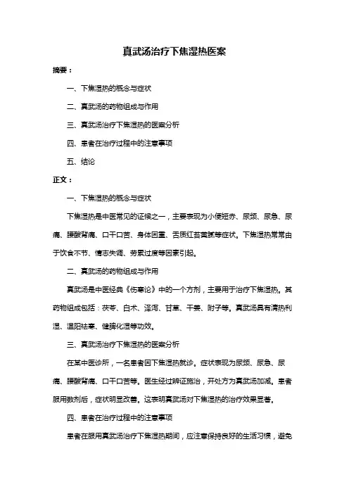 真武汤治疗下焦湿热医案