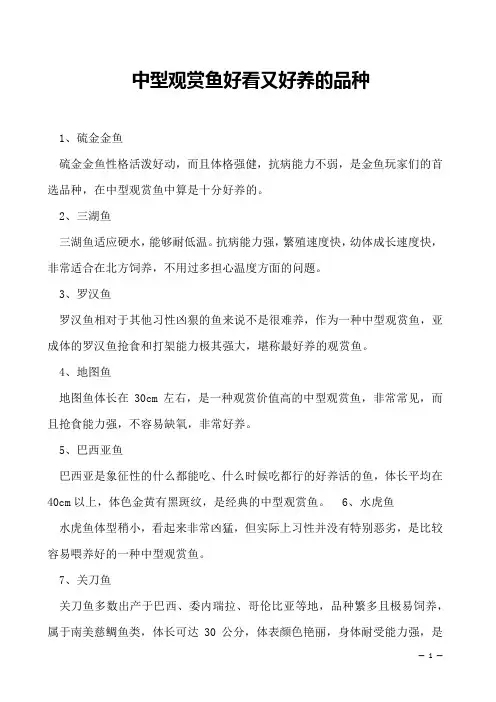中型观赏鱼好看又好养的品种