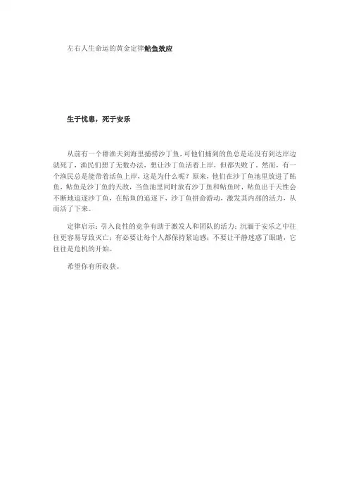 左右人生命运的黄金定律鲇鱼效应