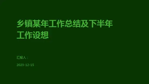 乡镇某年工作总结及下半年工作设想