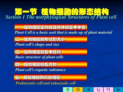第一节植物细胞的形态结构-文档资料
