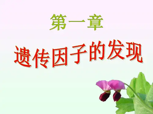 【人教版生物必修2】1.1孟德尔的豌豆杂交实验(一)