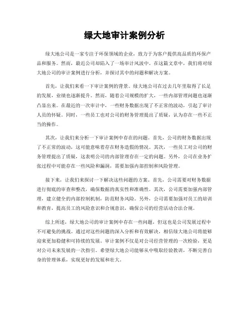 绿大地审计案例分析
