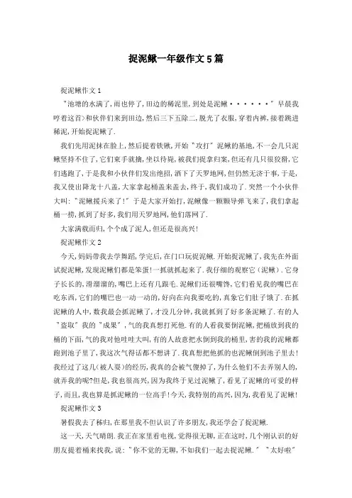 捉泥鳅一年级作文5篇