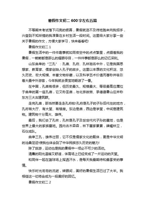 暑假作文初二600字左右五篇