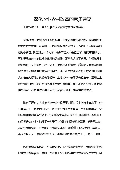 深化农业农村改革的意见建议