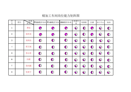(精品)员工能力矩阵图
