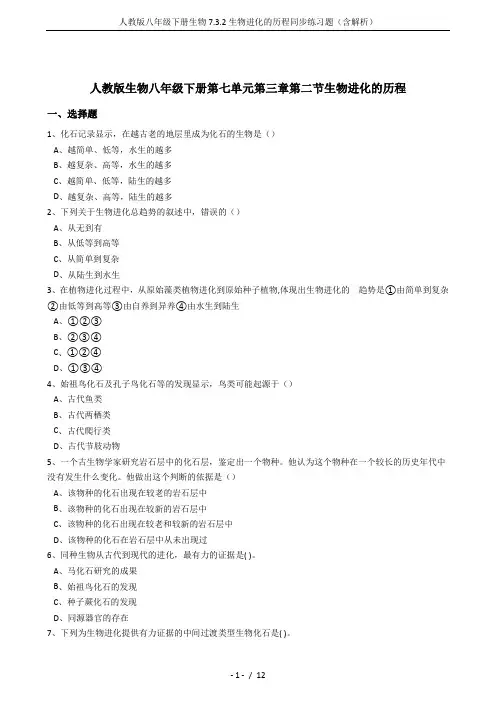 人教版八年级下册生物7.3.2生物进化的历程同步练习题(含解析)