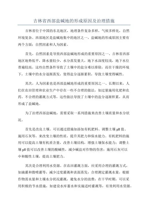 吉林省西部盐碱地的形成原因及治理措施