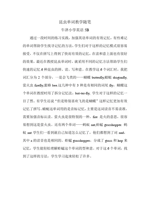 昆虫单词教学 牛津小学英语5B