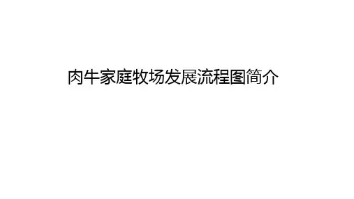 肉牛家庭牧场发展流程图简介