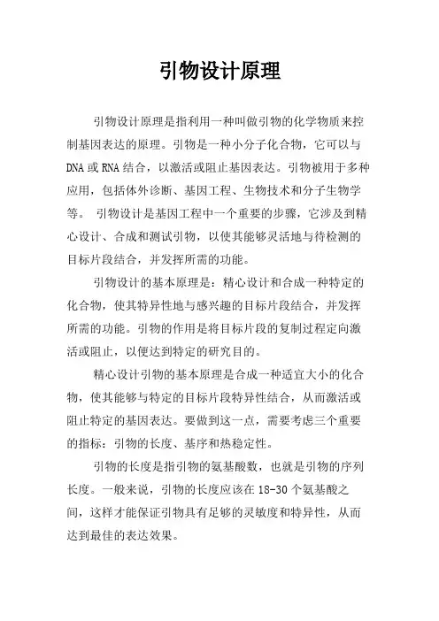 引物设计原理