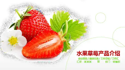 水果草莓产品销售宣传介绍PPT模板